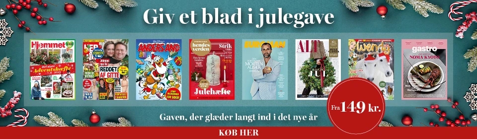 Julegave 2023